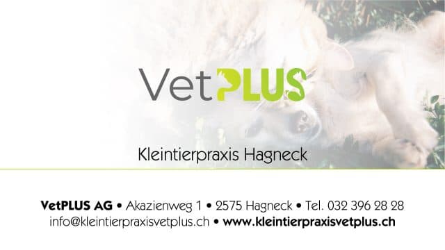 Werbekunde VetPLUS AG, Kleintierpraxis & Gesundheitszentrum